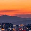 蘑菇蘑菇躲在市场的角落