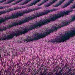 盗墓笔记·十年人间(最热抖音版)铃声