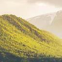 搞笑音效：土拨鼠大吼