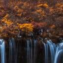 咳嗽版短信提示