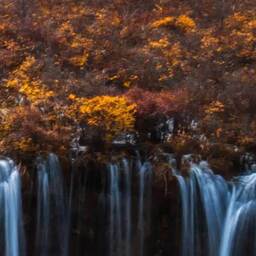 咳嗽版短信提示鈴聲