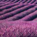 盜墓筆記·十年人間(最熱抖音版)