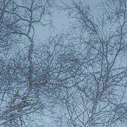 這潑天的富貴終於輪到我了鈴聲