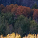 短信提醒：公主請看短信