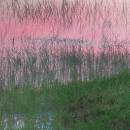 公主没起床不接电话铃声