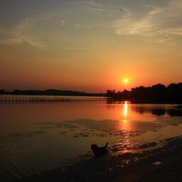 最初的記憶鈴聲