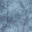 这泼天的富贵终于轮到我了