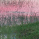 公主没起床不接电话