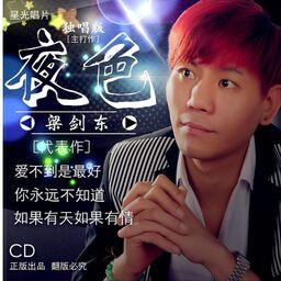 夜色 (DJ版)铃声