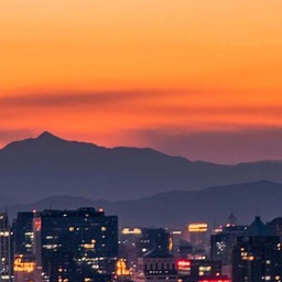 蘑菇蘑菇躲在市場的角落鈴聲