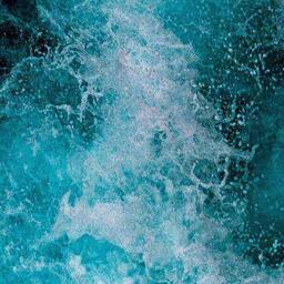 主人主人快醒醒，電話來了鈴聲