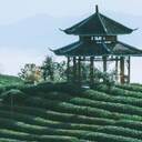 滴~你有一條新的短信息