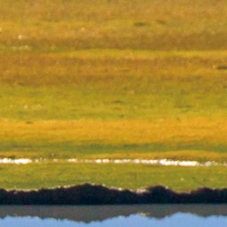 你發財，你必定發財鈴聲