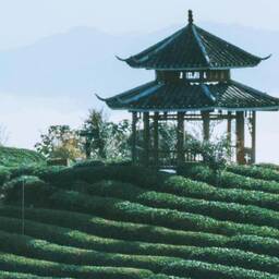 滴~你有一条新的短信息铃声