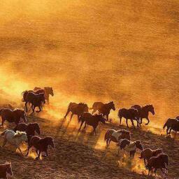 天選發財人鈴聲