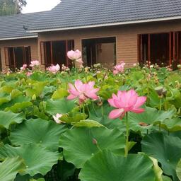 瑋一 - 原來你只是一個過客鈴聲