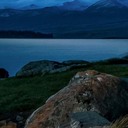 快接小猫咪的电话