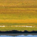 红包来啦短信铃音