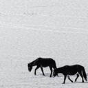 打電話幹嘛，我是社恐