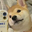 徐秉龍 - 孤身-痛酒