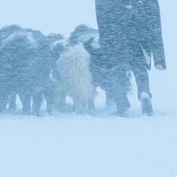 拥抱你离去铃声