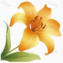 轻音乐 - 天籁之音 - 纯音乐版铃声或闹钟