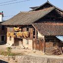 彼岸花开花败又一载~欢喜铃声