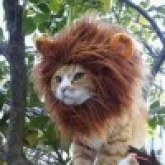 为时已晚 (纯享版)芊铃声