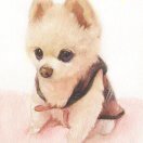 聲聲慢-童聲版鈴聲