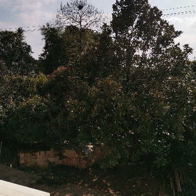 我要錢多多我要買車車鈴聲