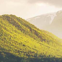 主人不在，我给你唱首发财歌铃声