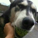 闹钟铃声超舒适起床铃声MELANCHOLY-Single Wang