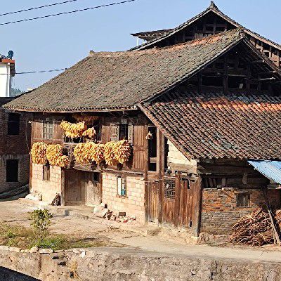 彼岸花開花敗又一載~歡喜鈴聲鈴聲