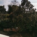 我要钱多多我要买车车