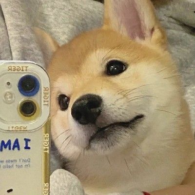 徐秉龙 - 孤身-痛酒铃声