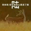 张韶涵 - 无名的人