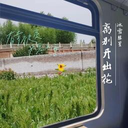 离别开出花 (DJ铁柱版)铃声