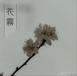 Adoreya - 風吹霧鈴聲