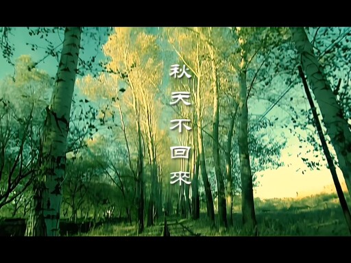 經典老歌《秋天不回來》☘️王強鈴聲