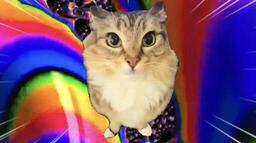 巴巴博一.mp3鈴聲