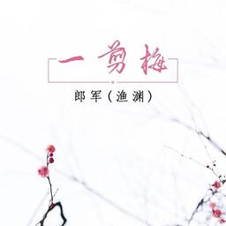 大家要找的一剪梅DJ版.铃声