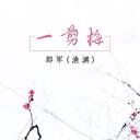 大家要找的一剪梅DJ版.