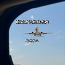 刚买的飞机 (被打了)(35秒)