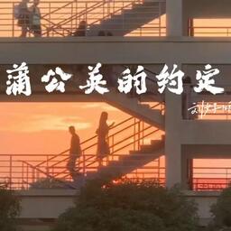 蒲公英的约定铃声