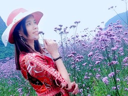 难道 - 阿妹铃声