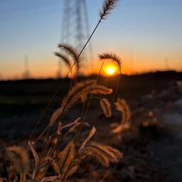 别在冬天把我丢下 (女版)铃声