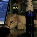 青花瓷 (粵語版)