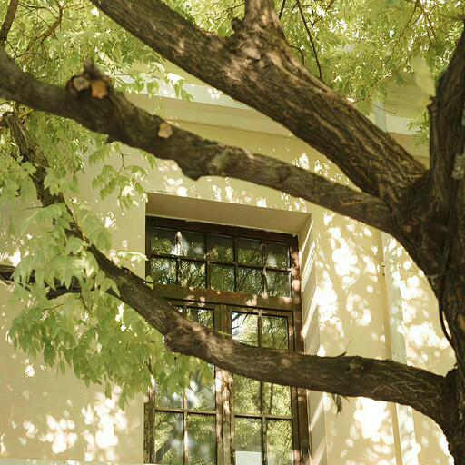 也可 - 不如 (女声)铃声