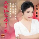 久醉红尘情难了铃声版mp3下载