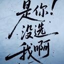 是你没选我啊(撕裂版)